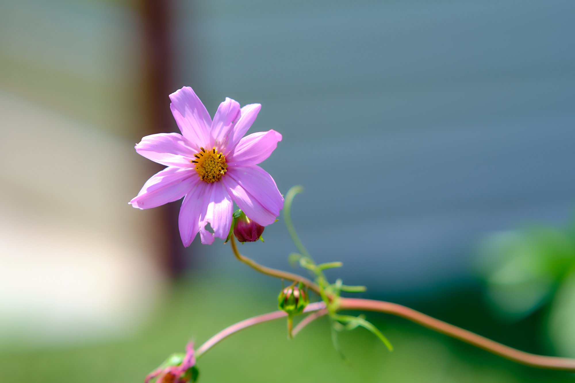DSCF9221.jpg
