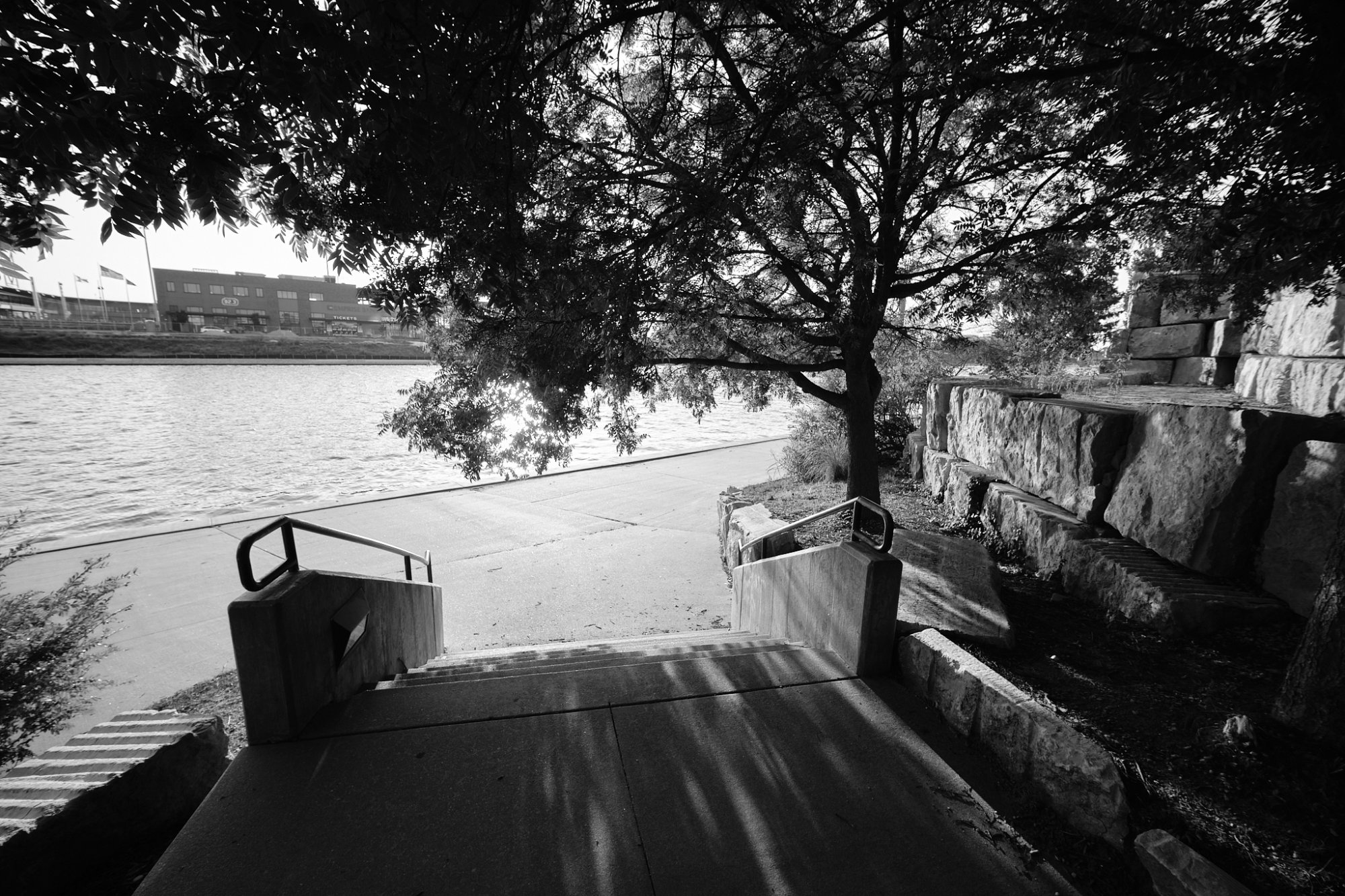 DSCF9229.jpg