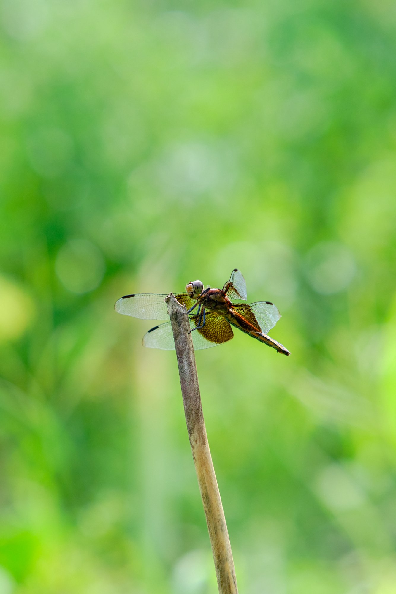 DSCF9287 1.jpg