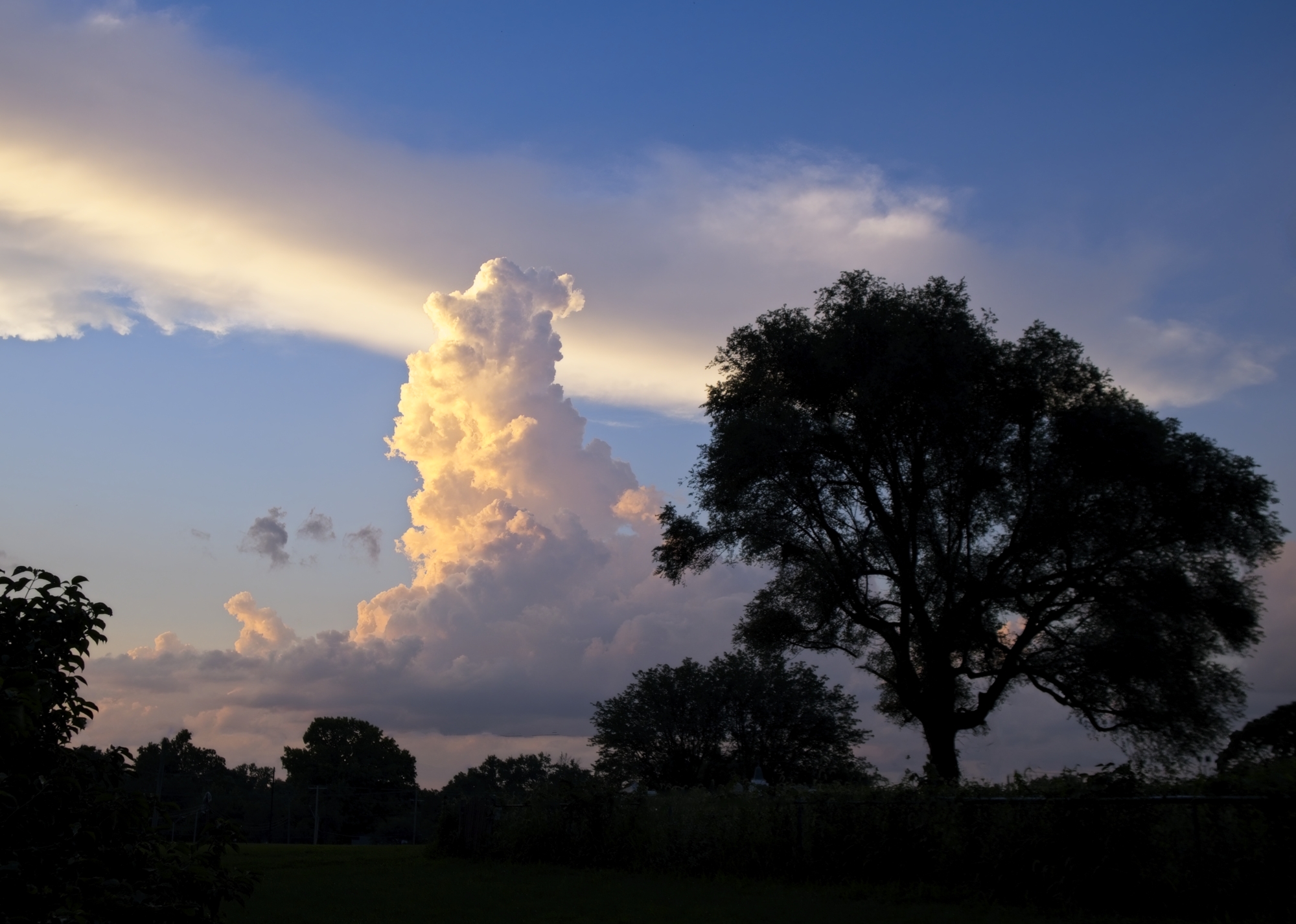 DSCF9406.jpg