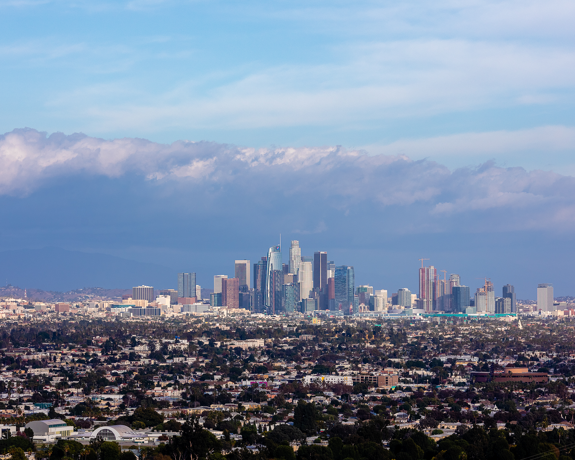 DTLA-1-14.jpg