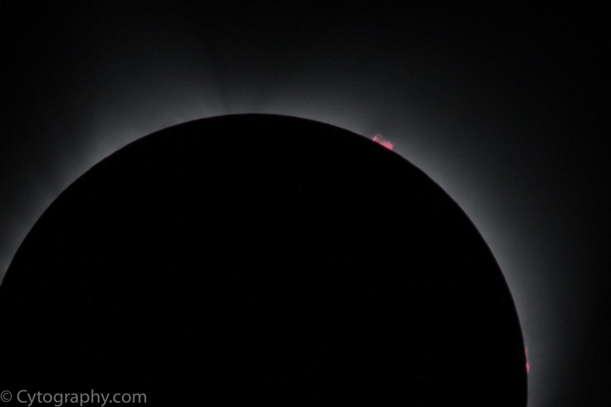 Eclipse Prominence-4.jpg