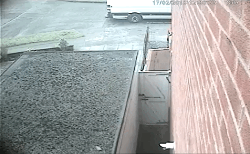 eDSRzrt.gif