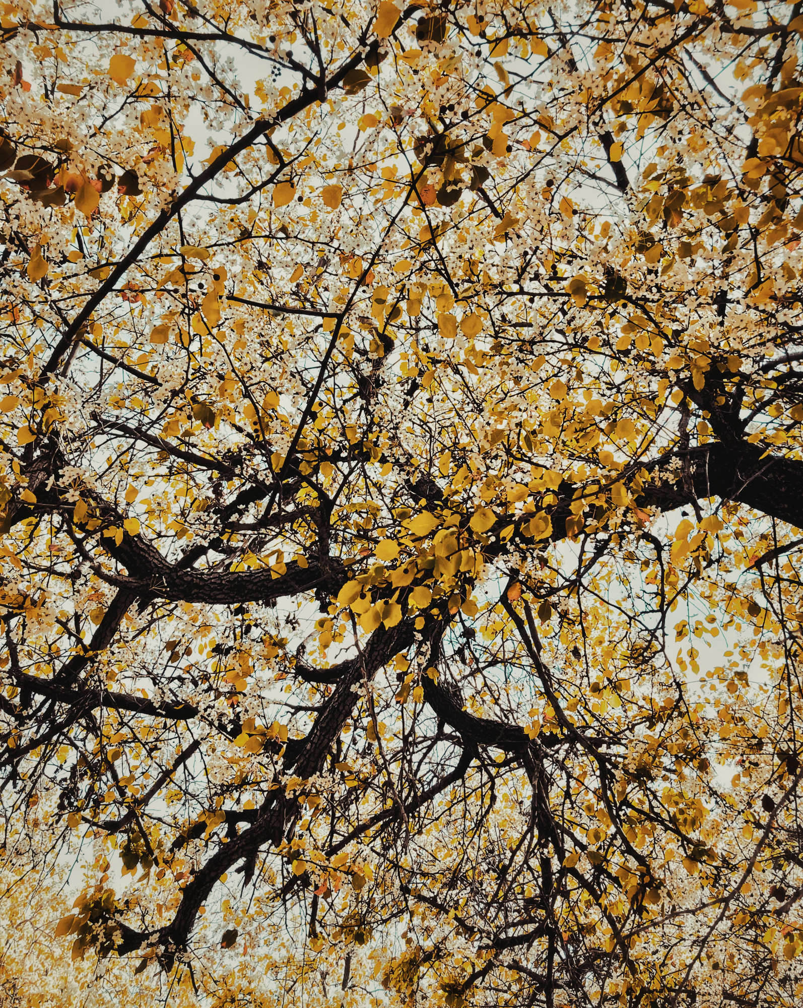EE1DCF1E-7560-4019-B4D0-6A5E851CF967.png