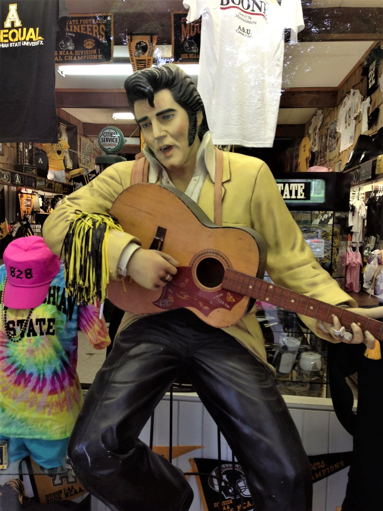 Elvis in Boone NC.JPG