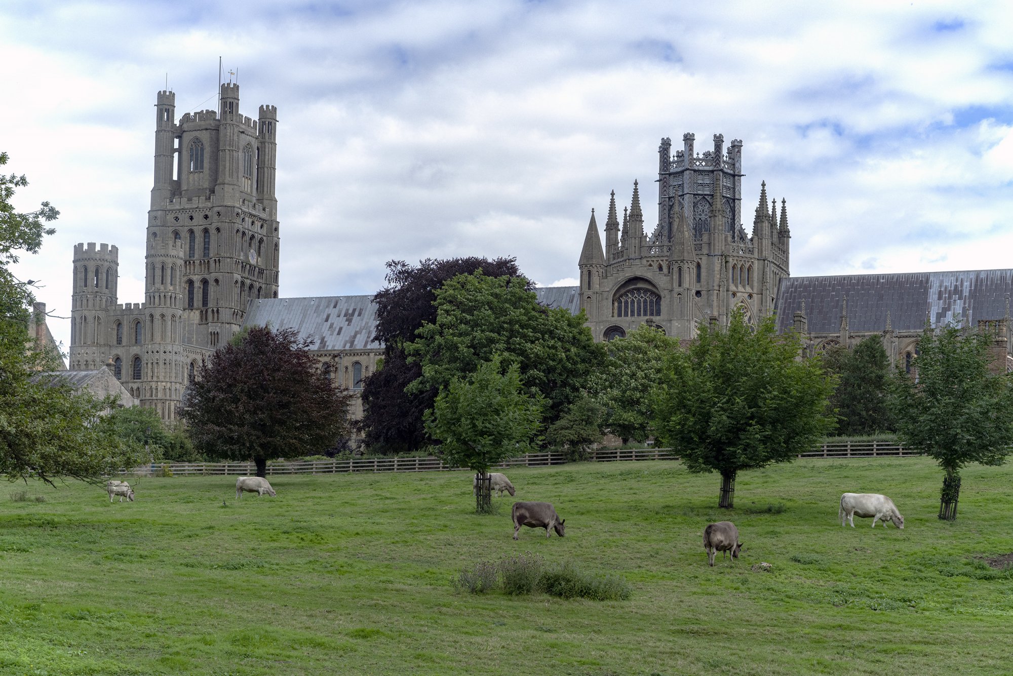 Ely Cathedral Field 2500px.jpg