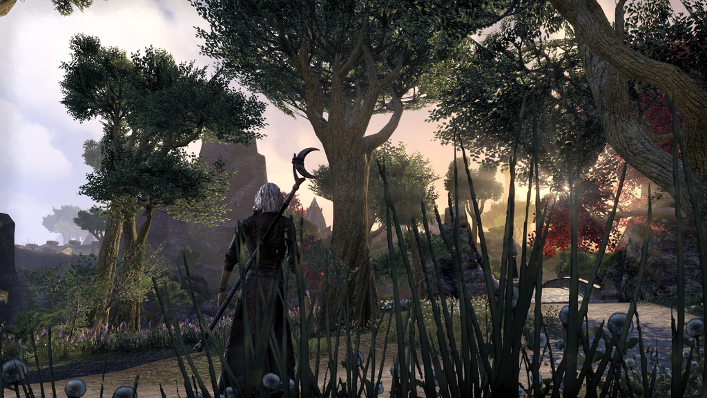 ESO Mathiisen on Auridon2.jpg