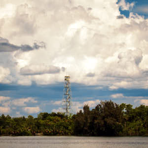 Everglades pano 1.jpg