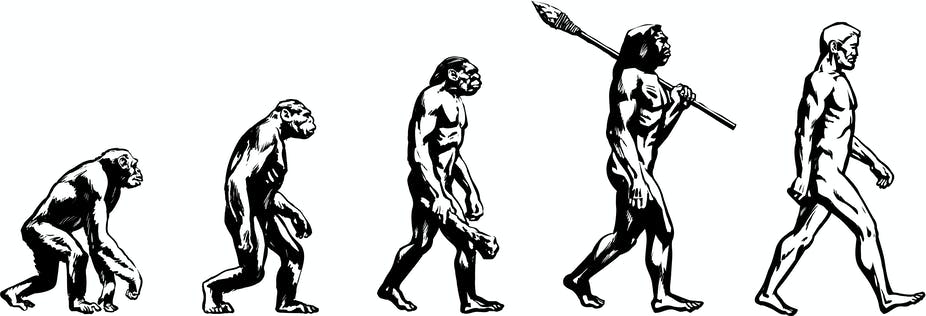 evolution.jpg