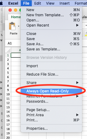 Excel Read Only.png