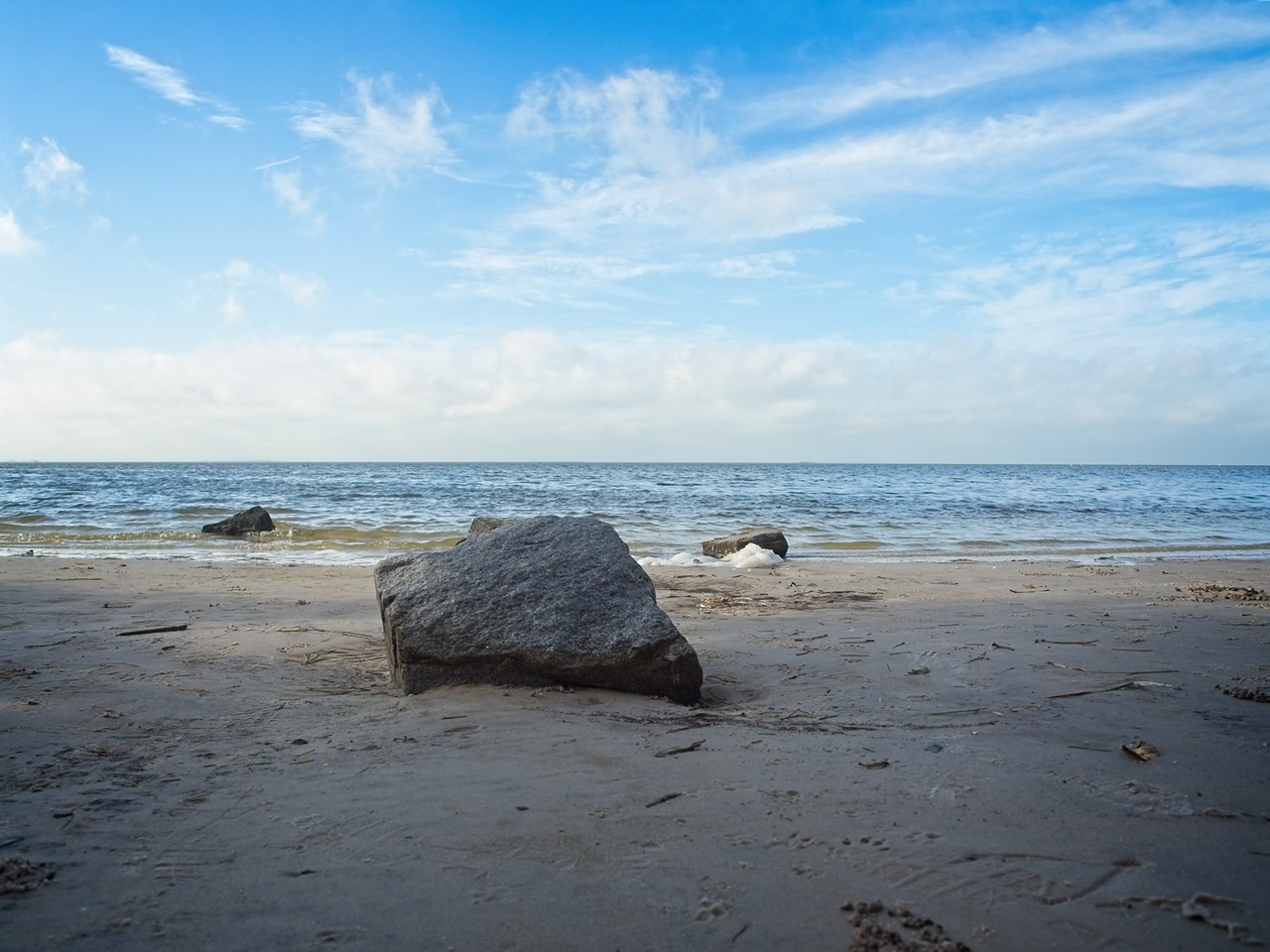 F0FF0553-5812-4B18-A816-58FD29201E1D.jpeg