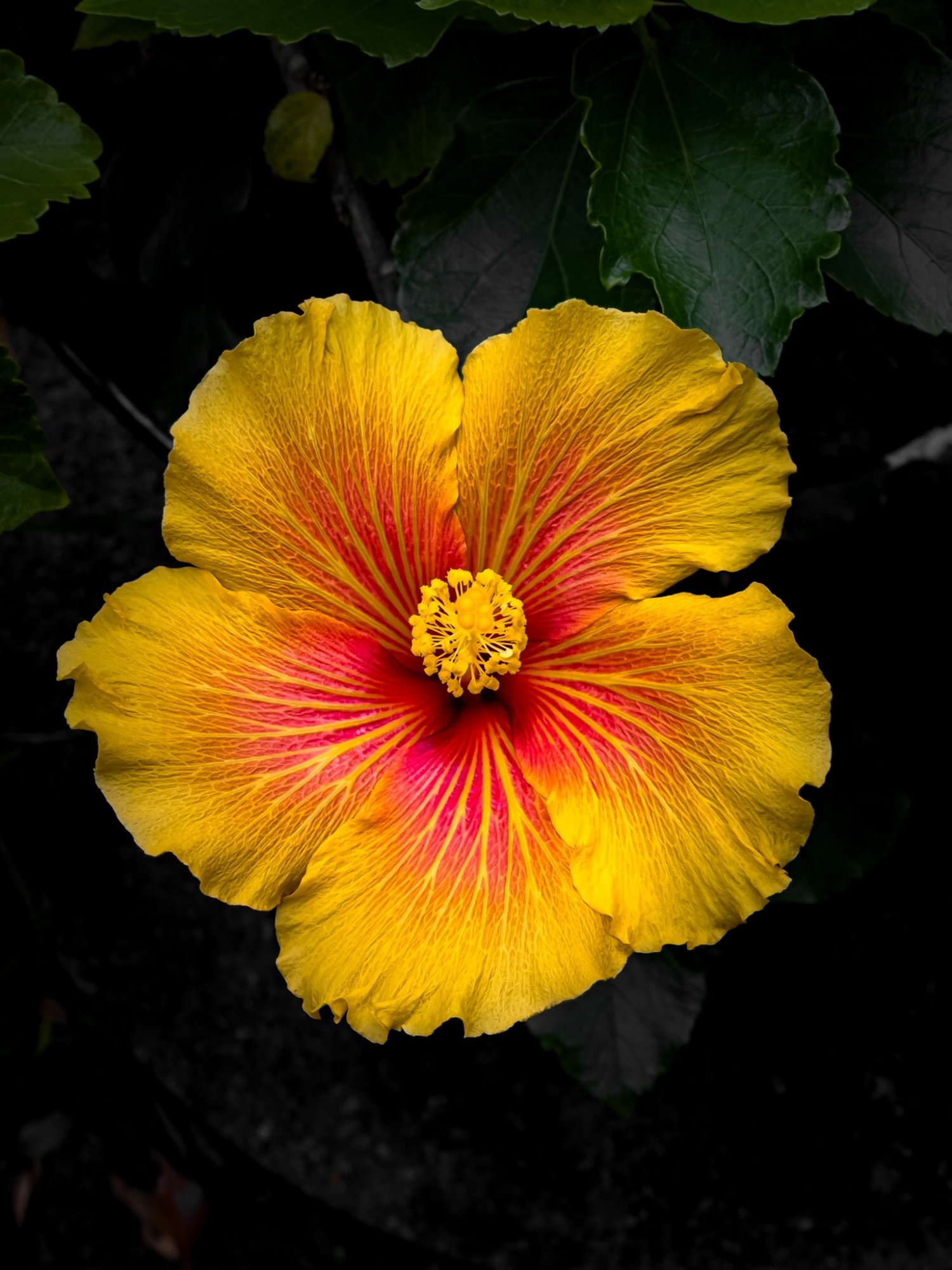 F2BEDCFB-EE29-4DF6-AEB1-BD8257307EC6.jpeg