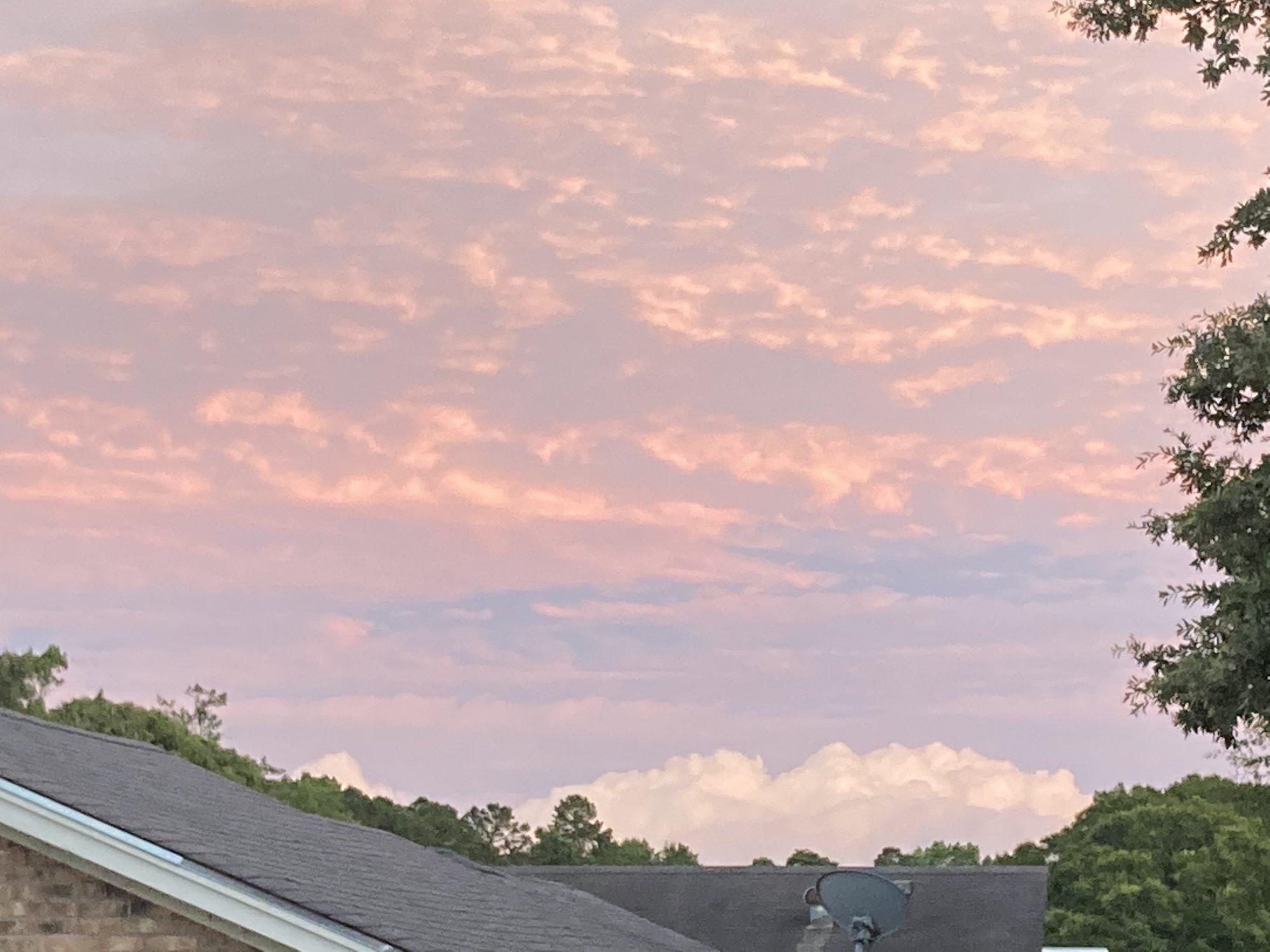 F358B5FA-E014-454F-9326-329894F3A395.jpeg