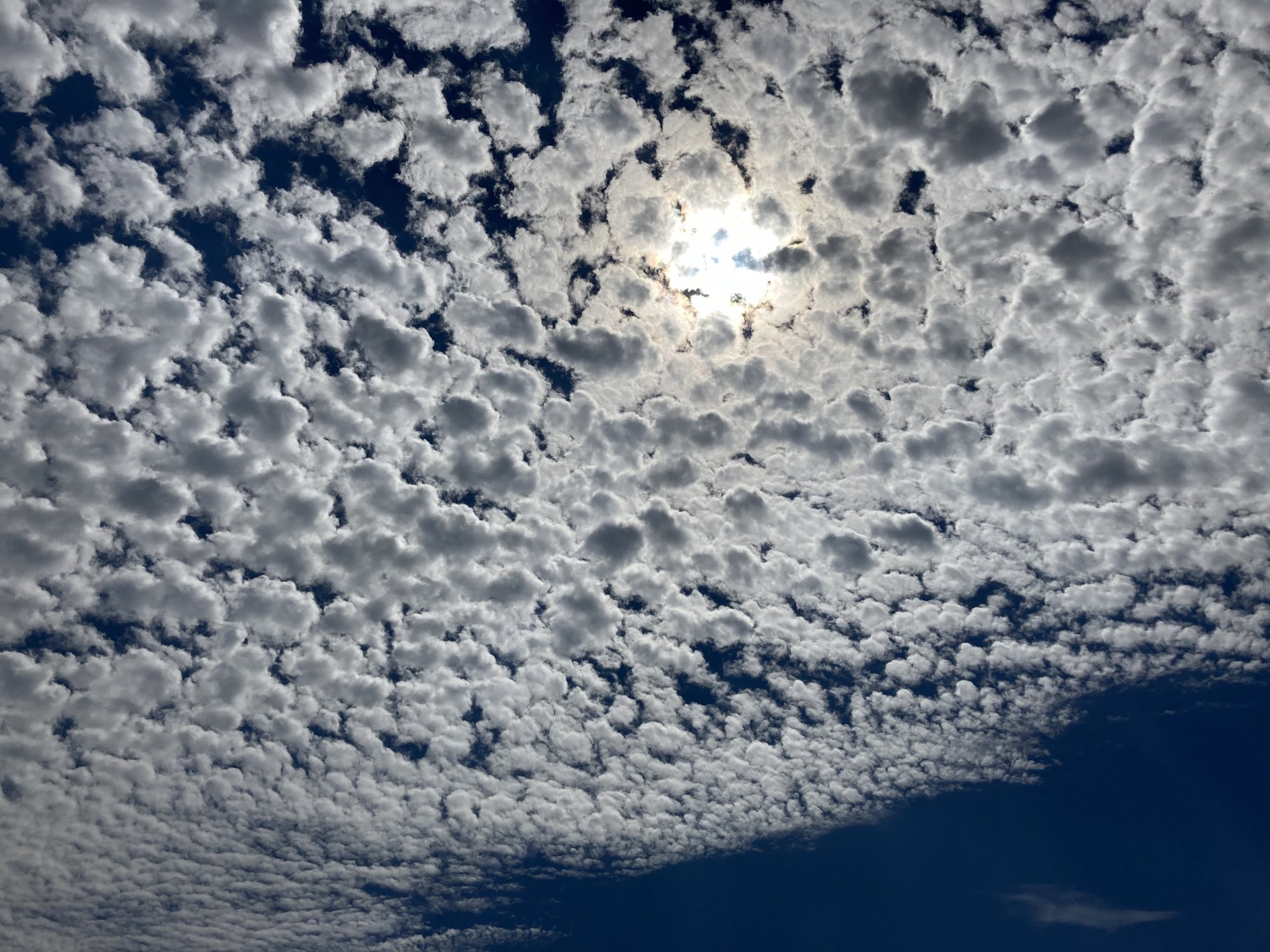 F571722F-DAAB-4ABC-B329-4DC226DF946A.jpeg