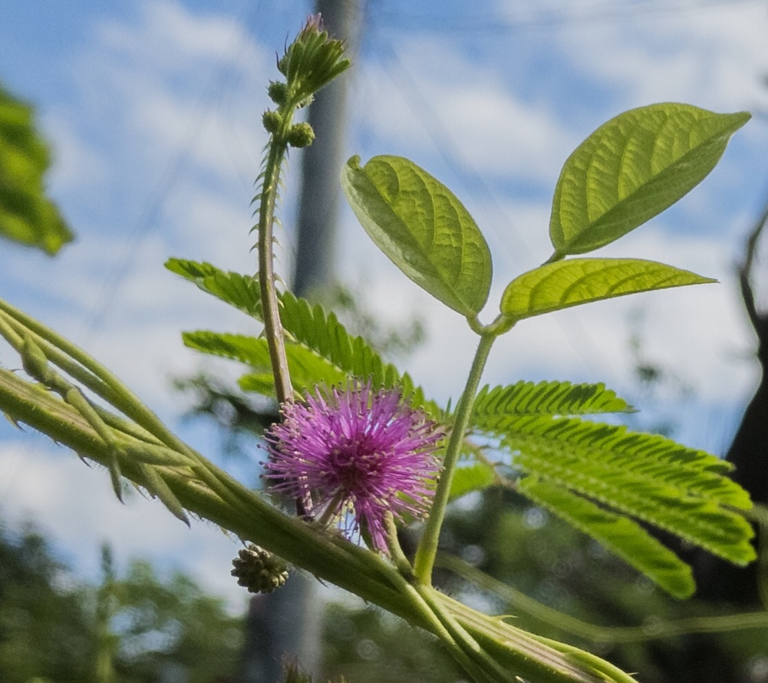 F589509D-2237-4F01-A2F9-CFF69E8781B1.jpeg