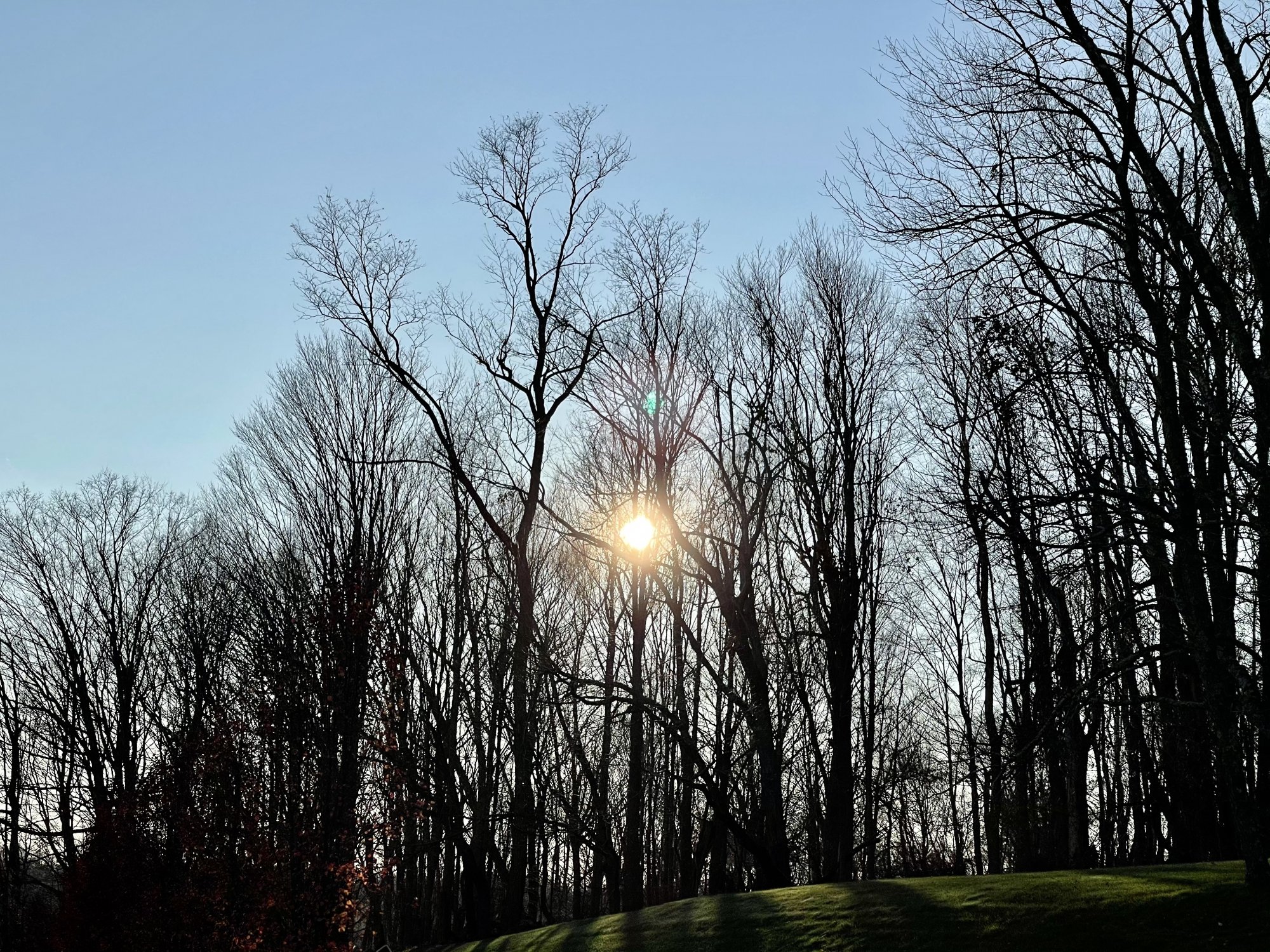 F72735FB-DC22-4900-A244-DF7B38F967AB.jpeg