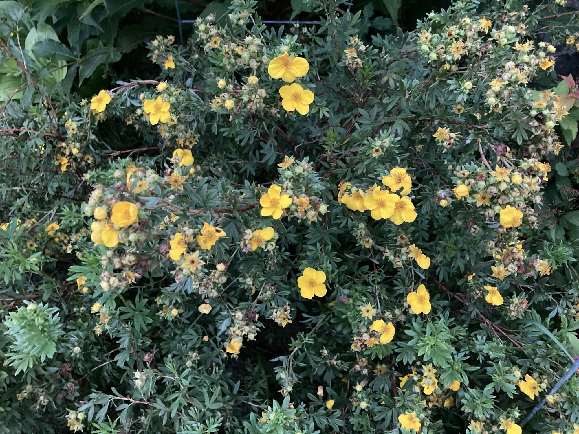 F9921626-F7B7-4D68-9670-AA2D56C0D644.jpeg