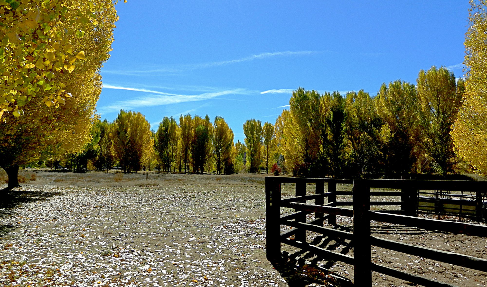 fall at pv ranch 4 x copy crop2.jpg