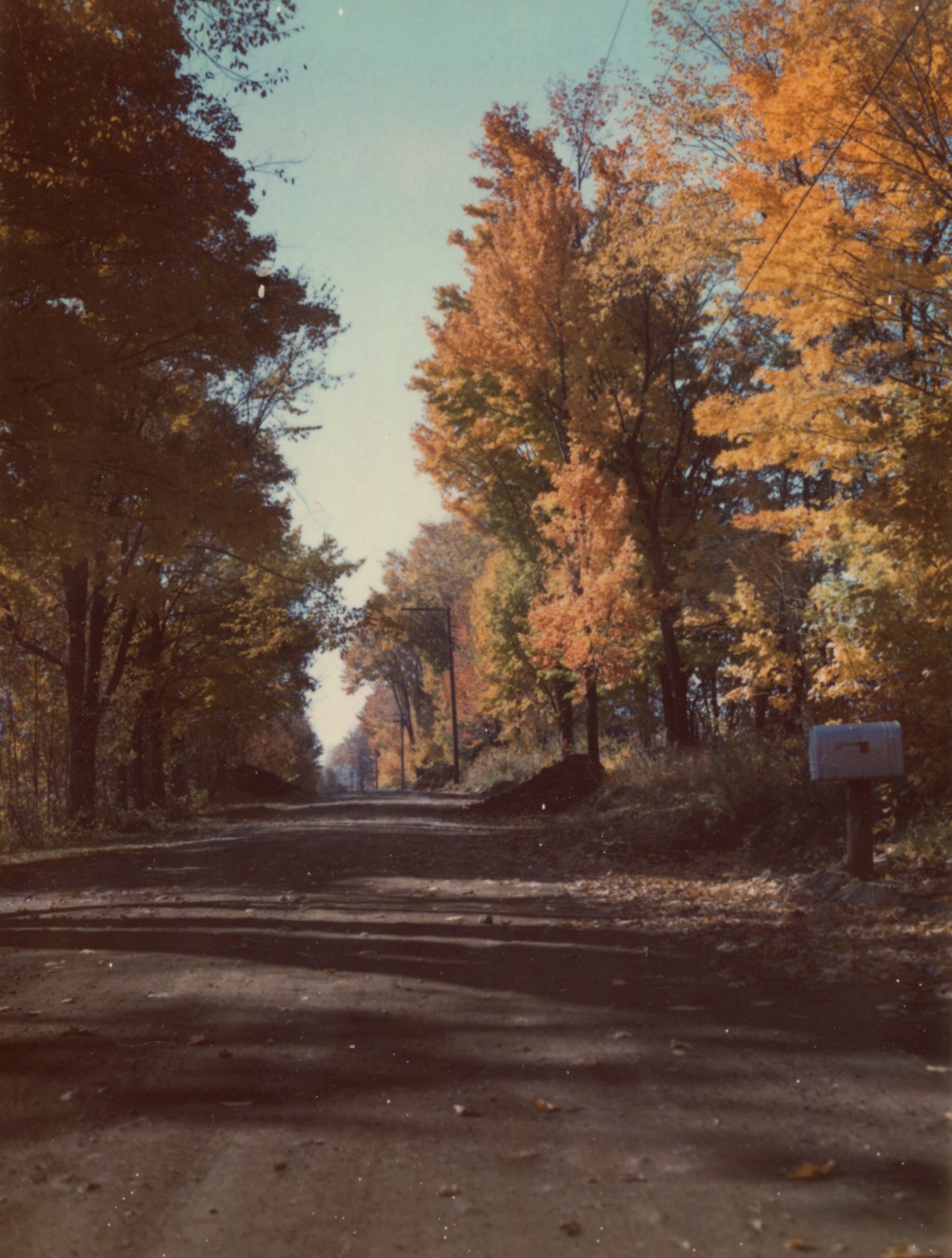 Fall Road.jpeg