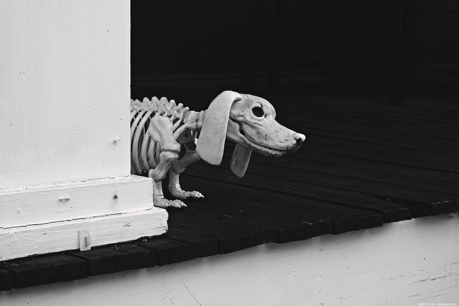 FallFrontPorchDogSkeletonBW .jpg