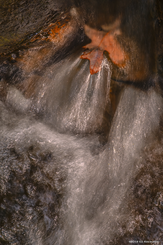 FallLeafCaughtInSparklingCreekFlow.jpg