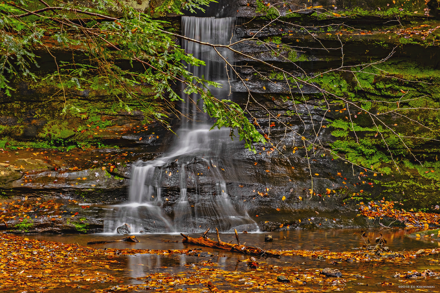 FallWaterfallBareBranchesLeaves.jpg