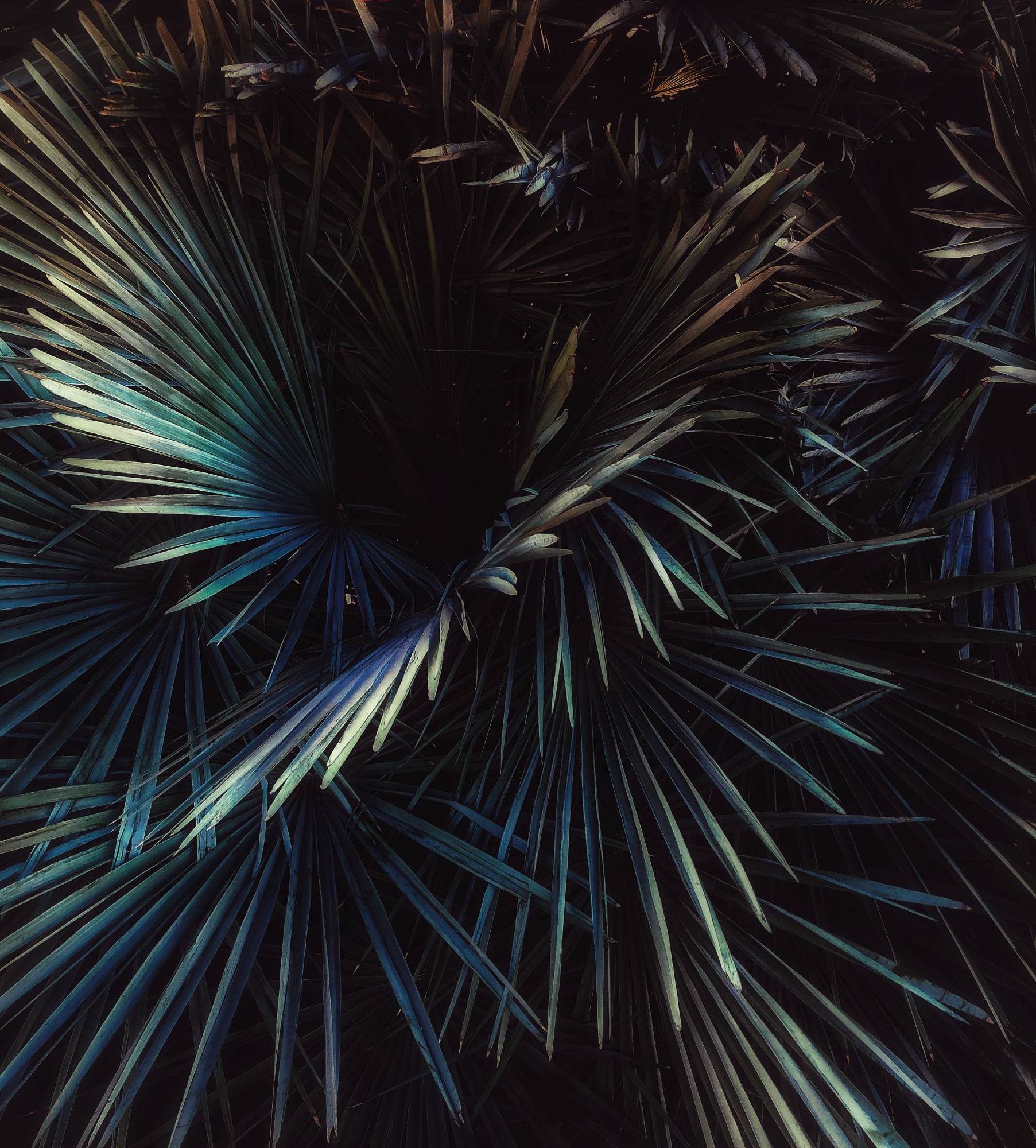 FB7D93E0-0037-4992-A694-87008E294A55.png