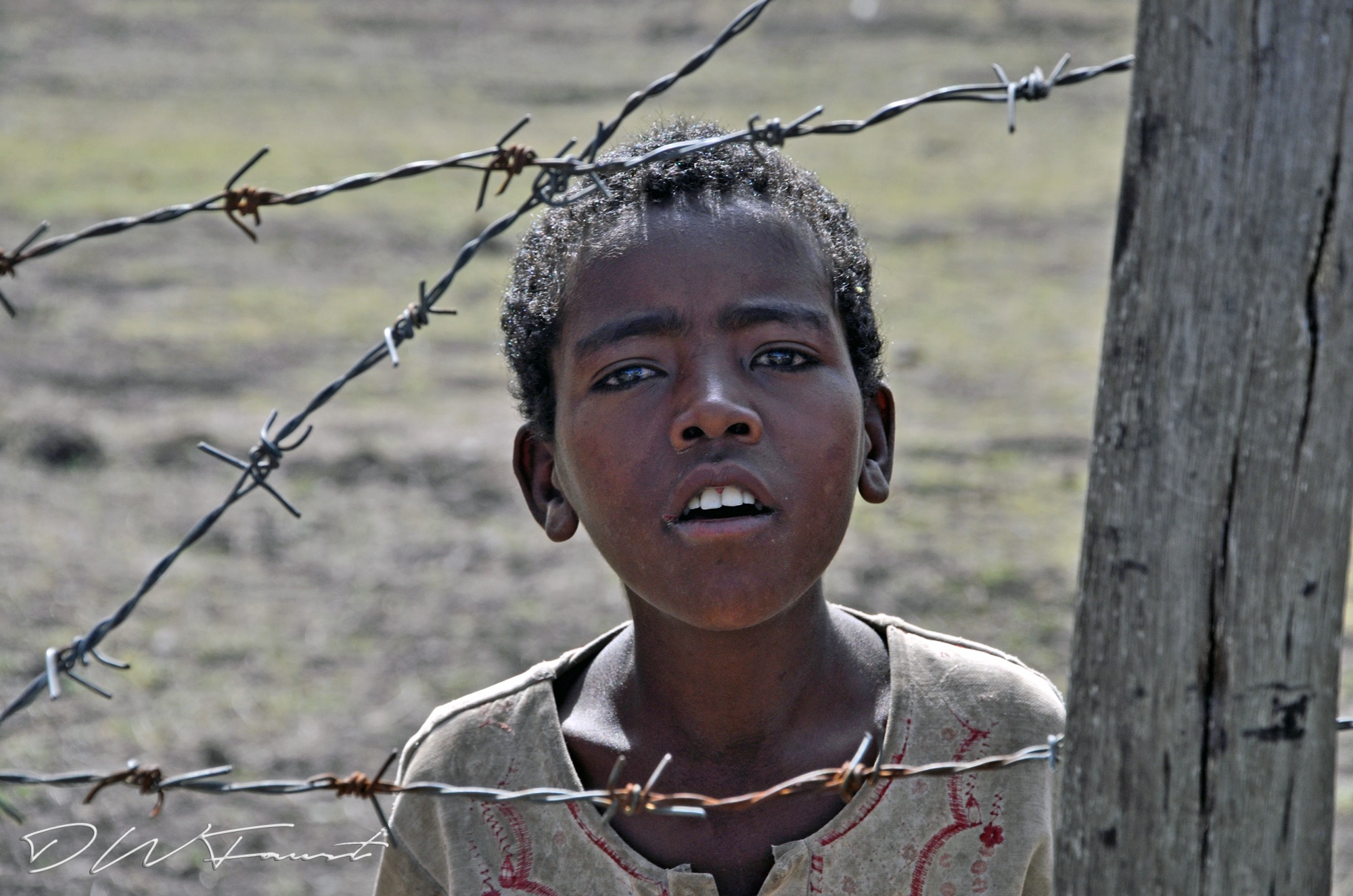 Fences-Ethiopia-2013.jpg