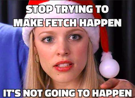 fetch.png