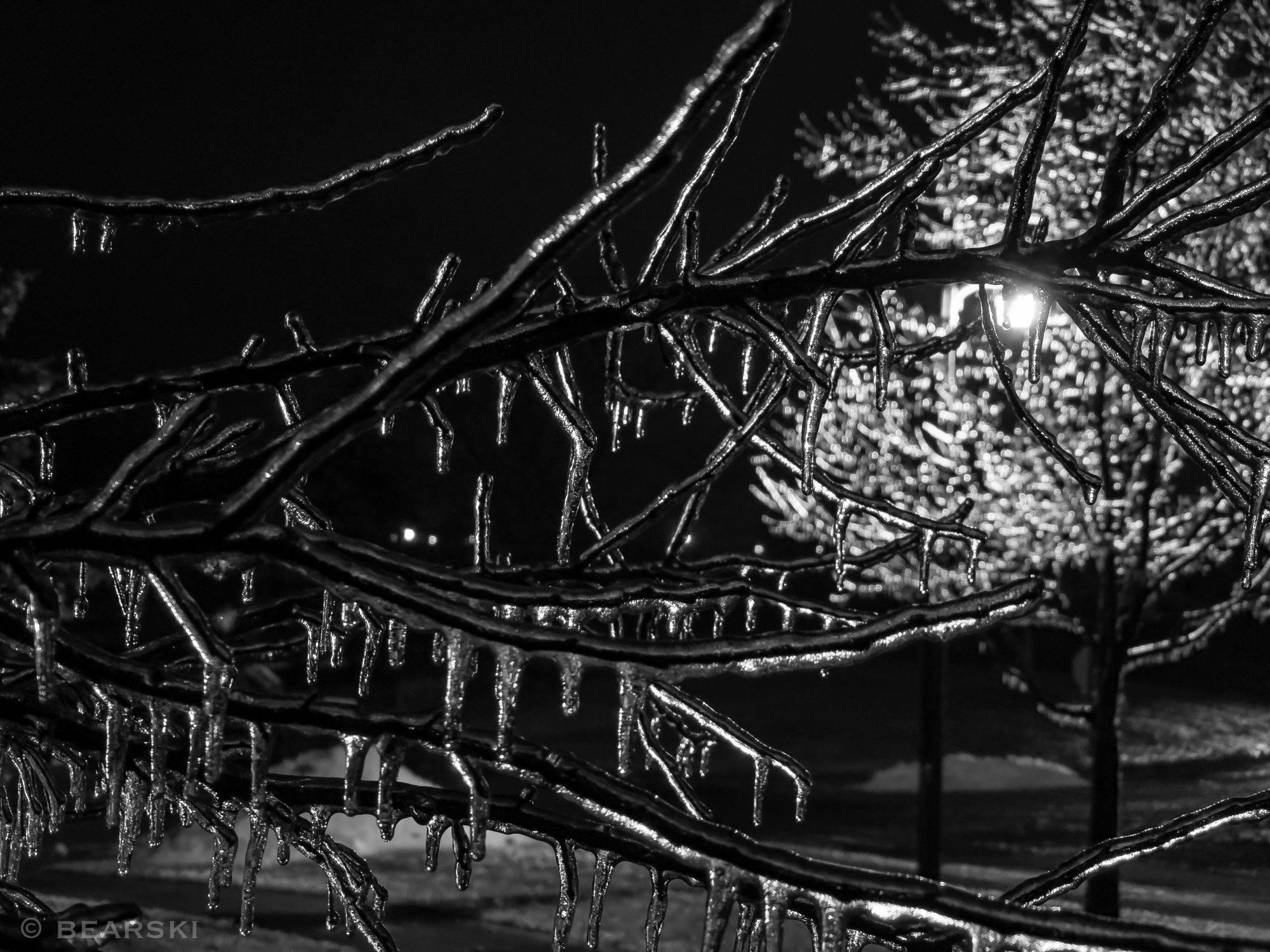FF5AA5CE-3F22-43EC-8EFC-BFA45AC5436A.jpeg