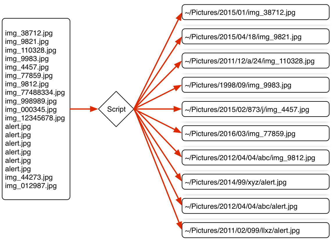 file_filter script.png