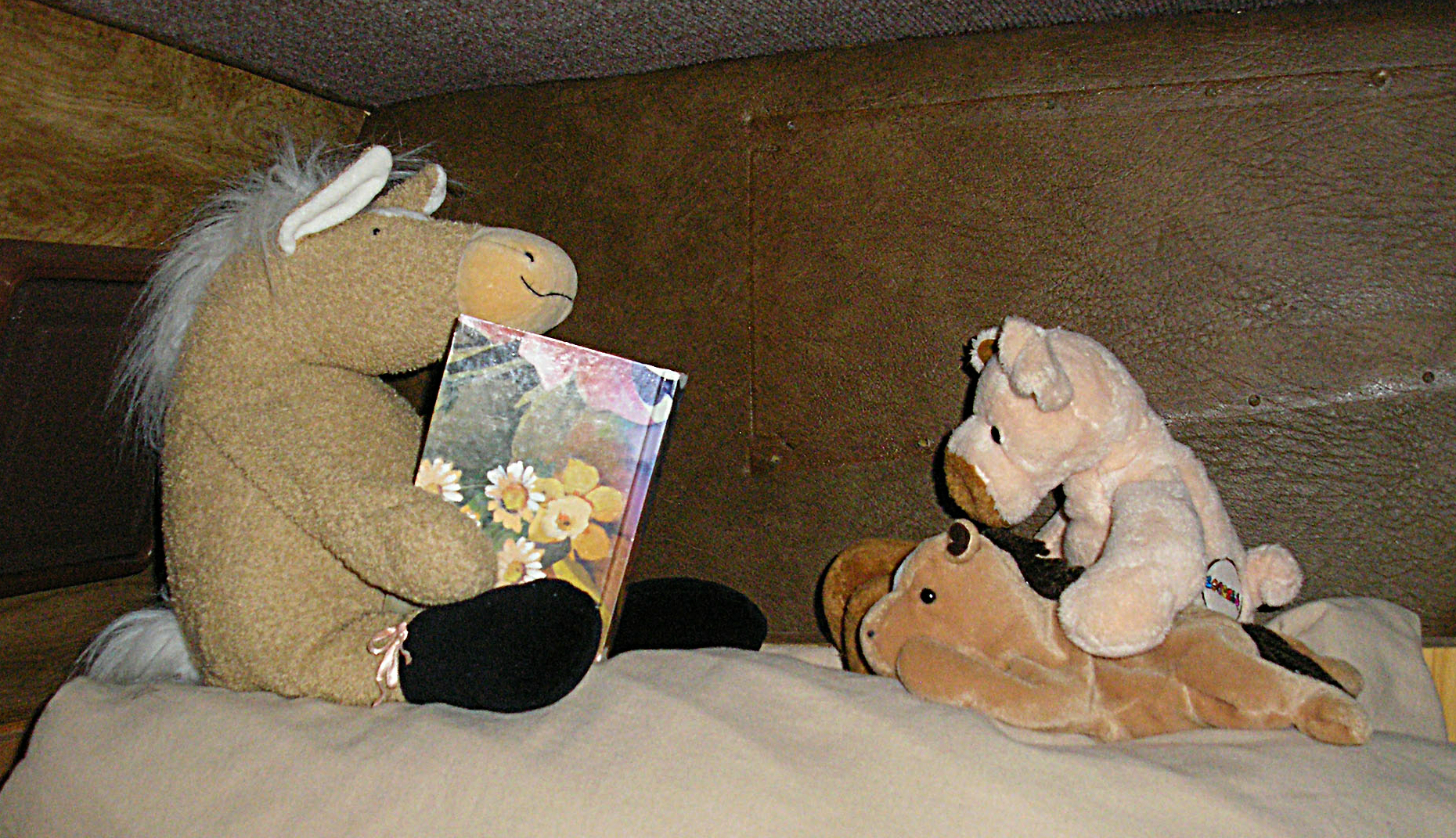 First night story time xcrop.jpg