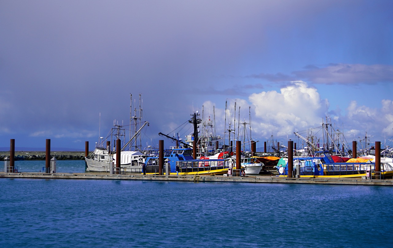 Fisherman's wharf.jpg