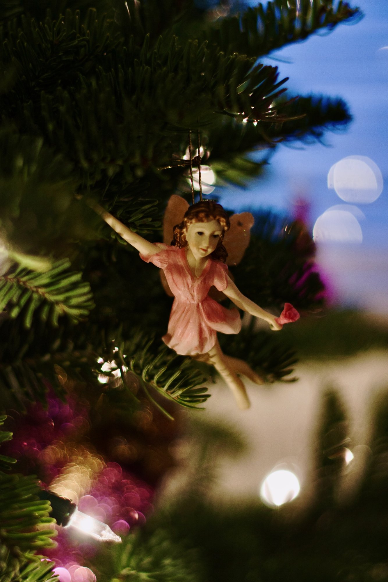 flyingfairy - 1.jpeg