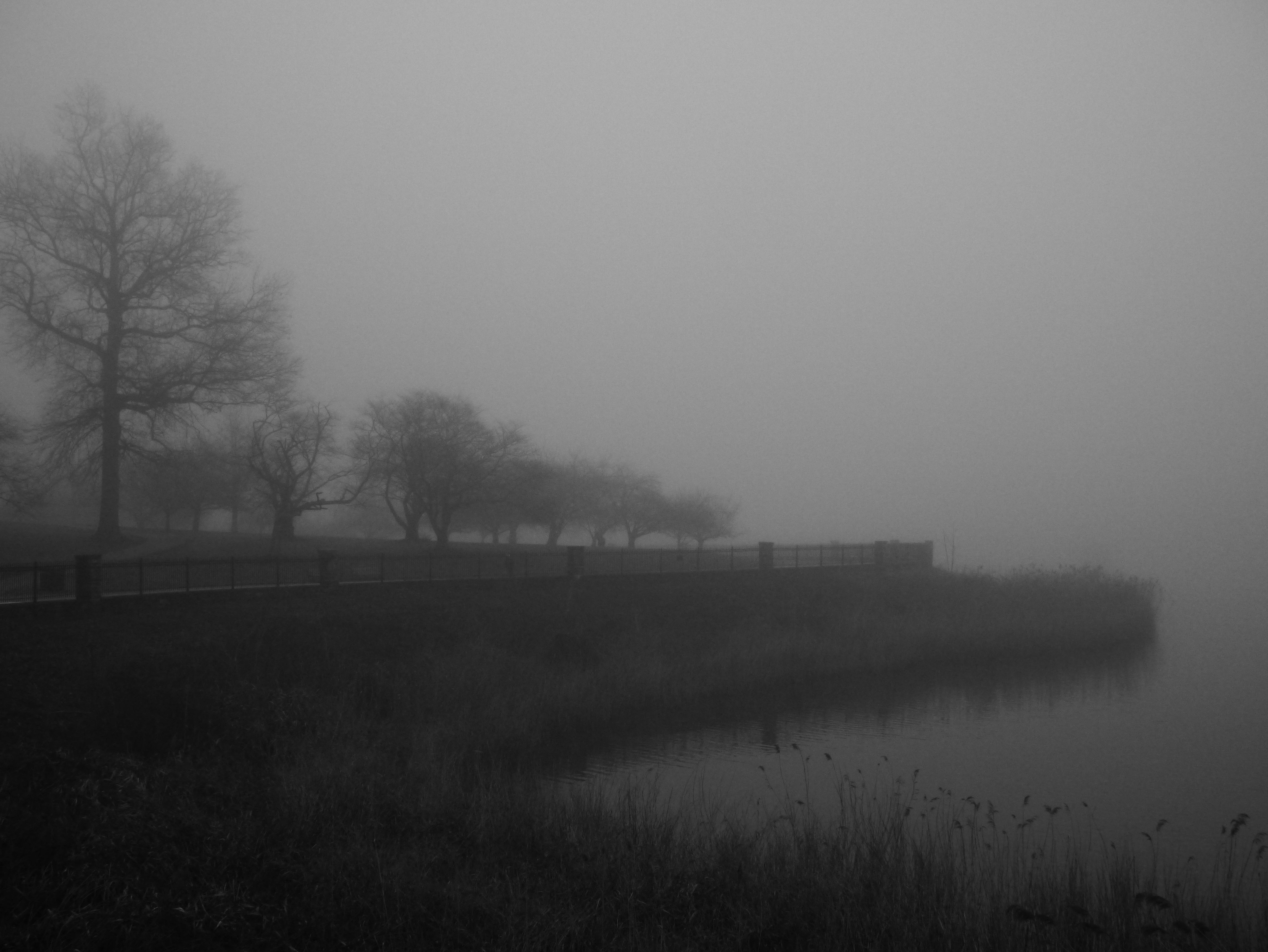 FoggyBW.jpg