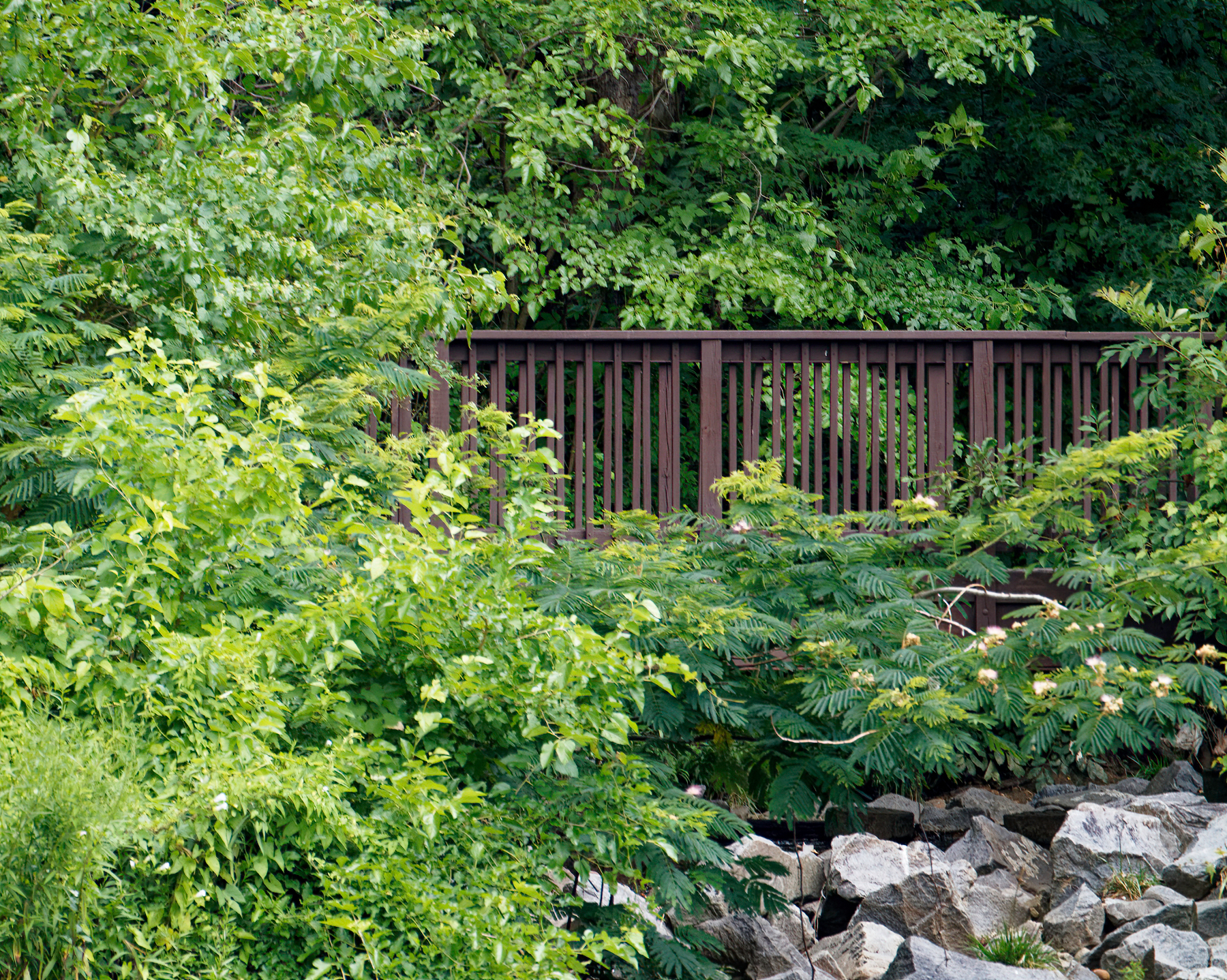 Footbridge at Foot of Lake.jpeg