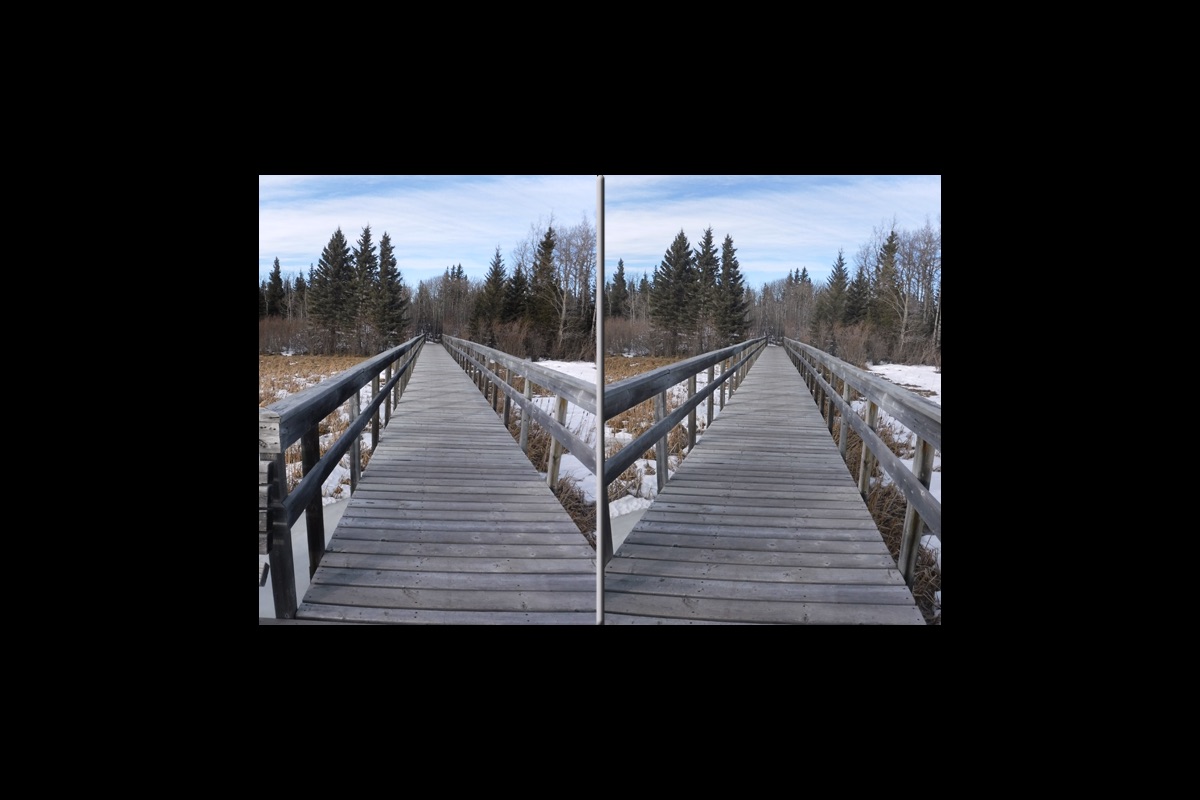 Footbridge_1.jpg