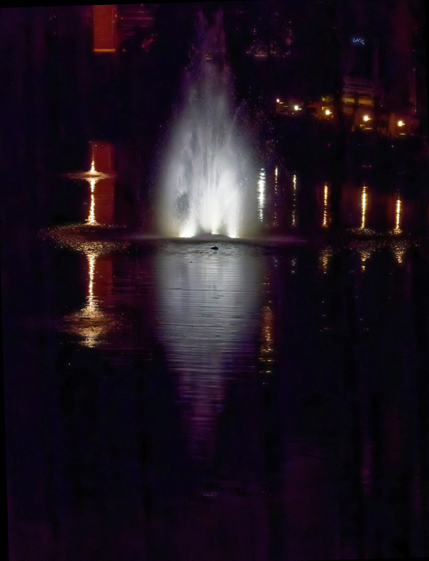 Fountain at Night.jpg