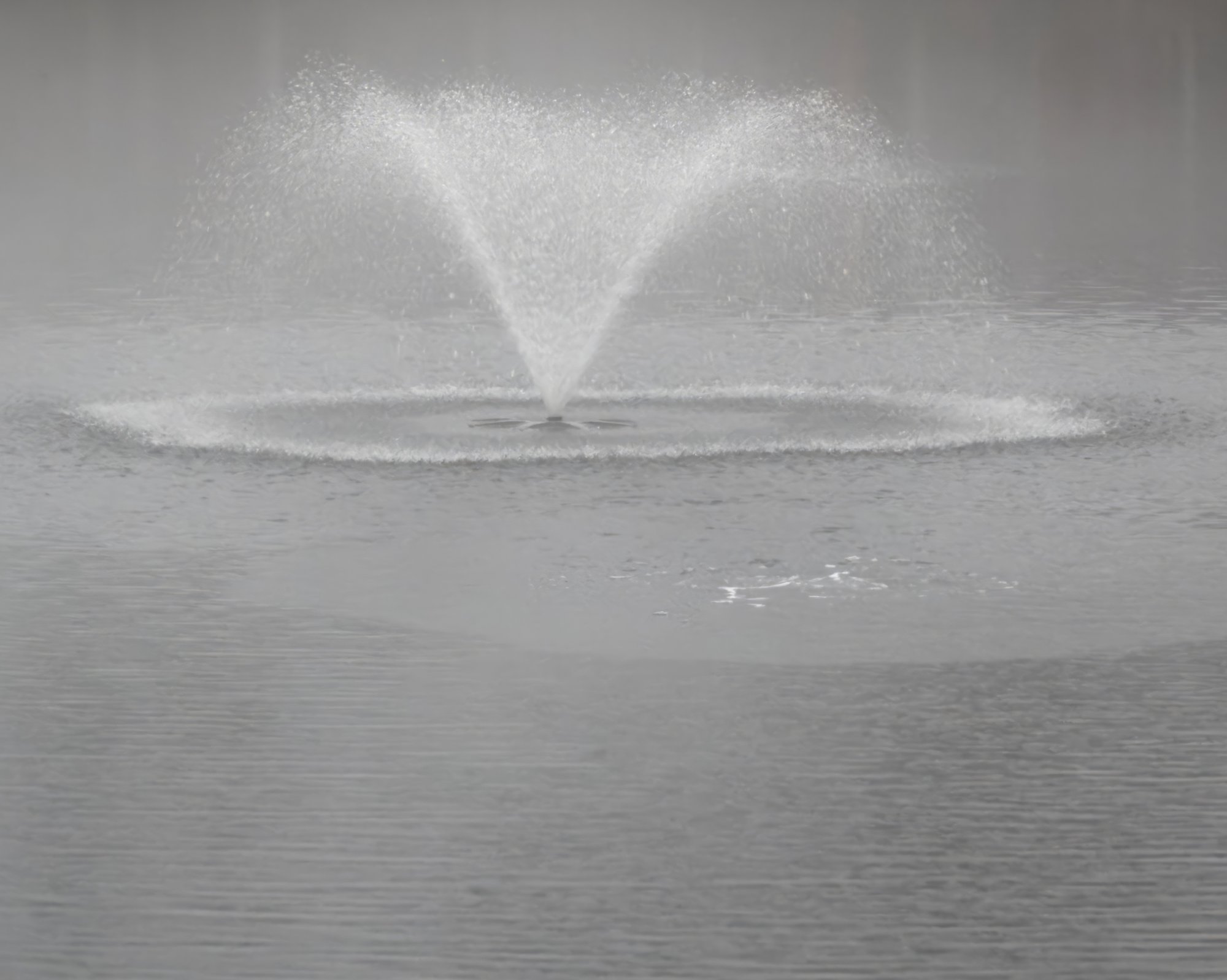 Fountain in the Foggy Light Rain.jpeg