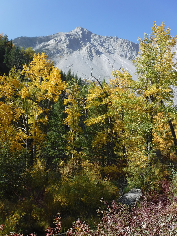 FrankSlide_2.jpg