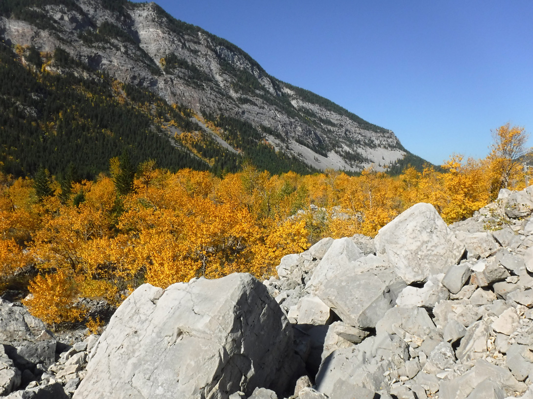 FrankSlide_3.jpg