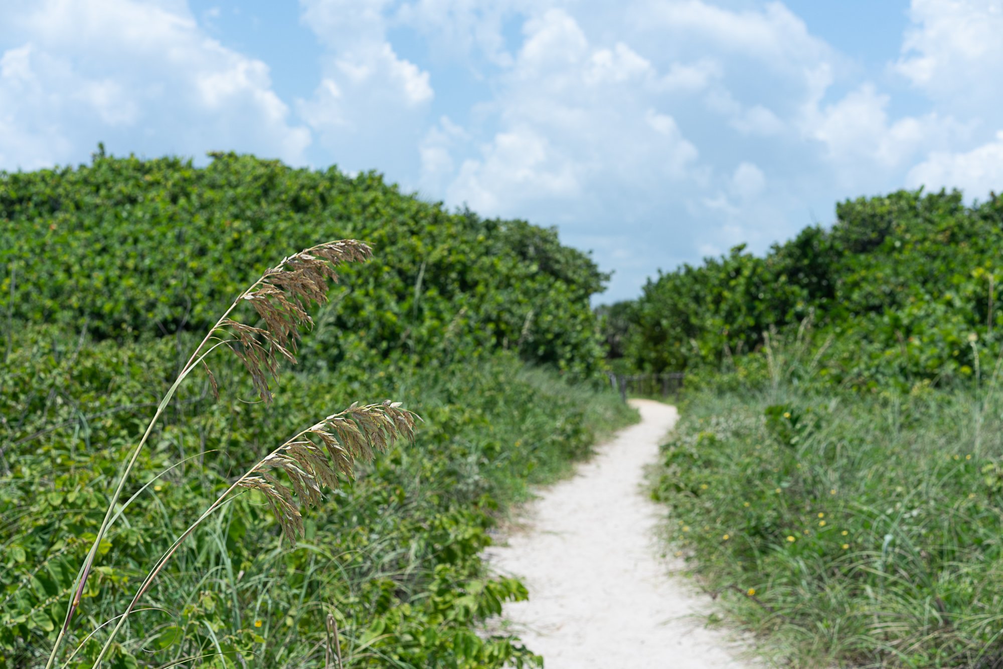 Ft Pierce Inlet - 2500px-12.JPG