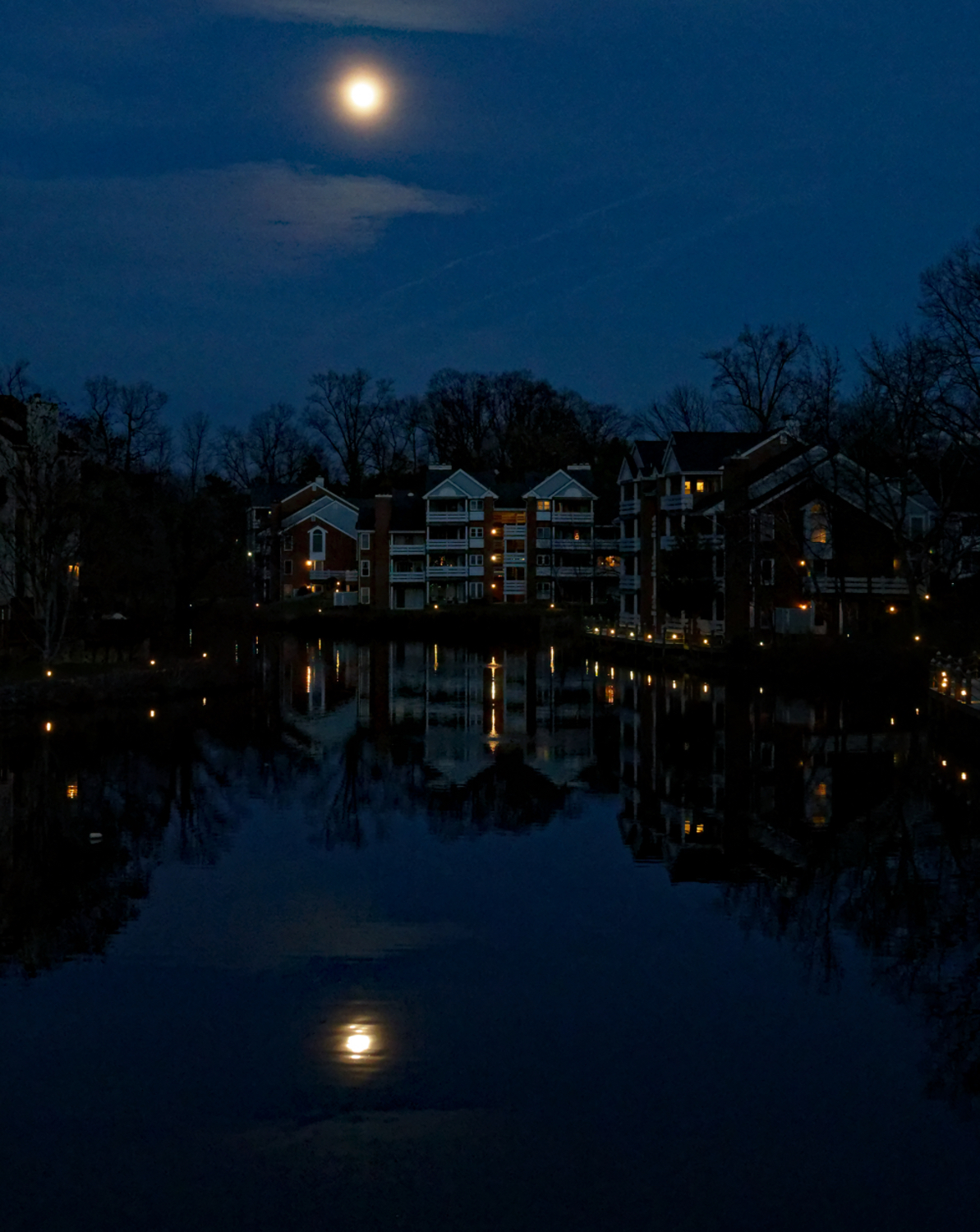 Full Moon Over the Lake.jpeg