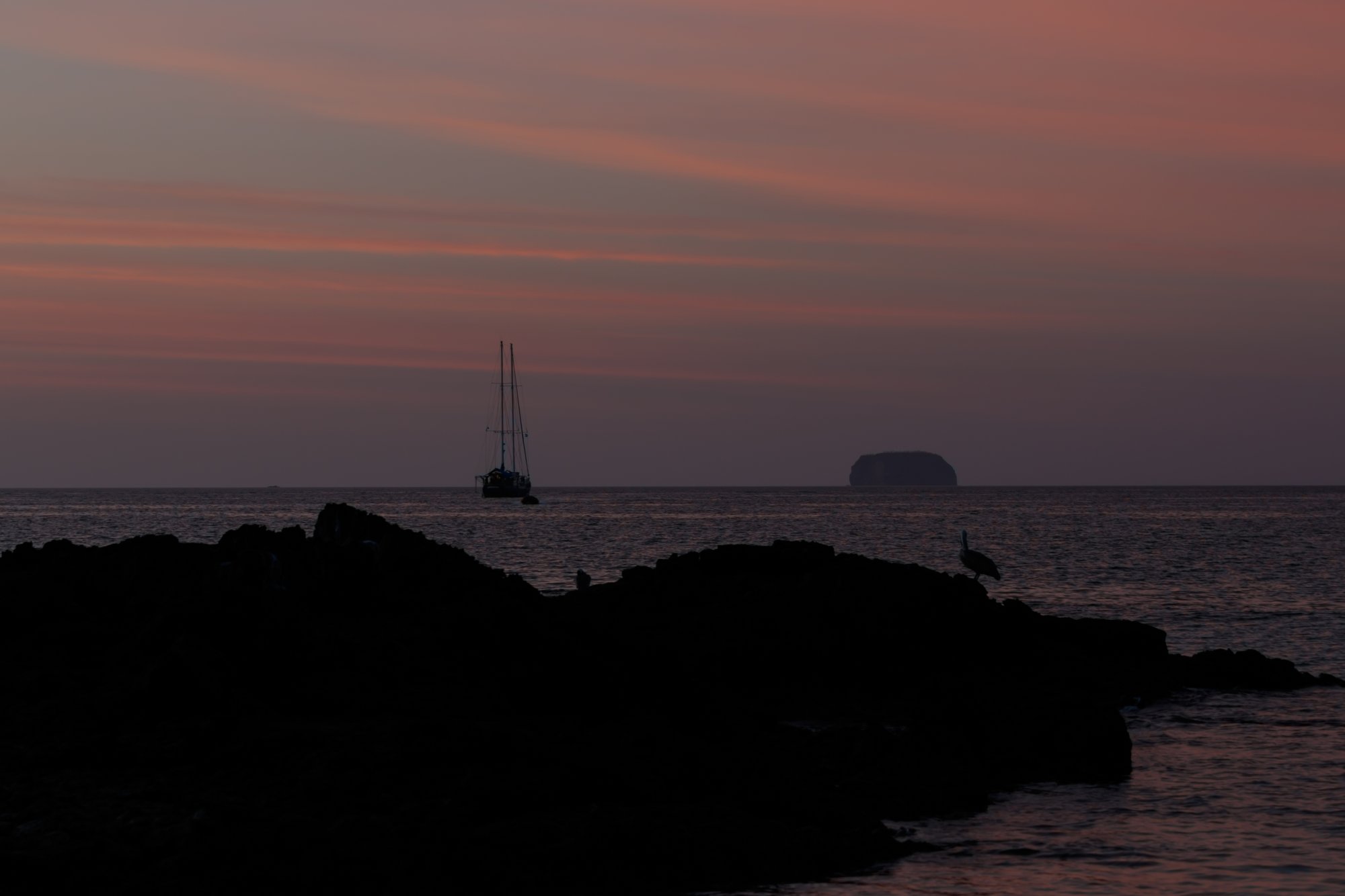 Galapagos_IMG_3989.jpg