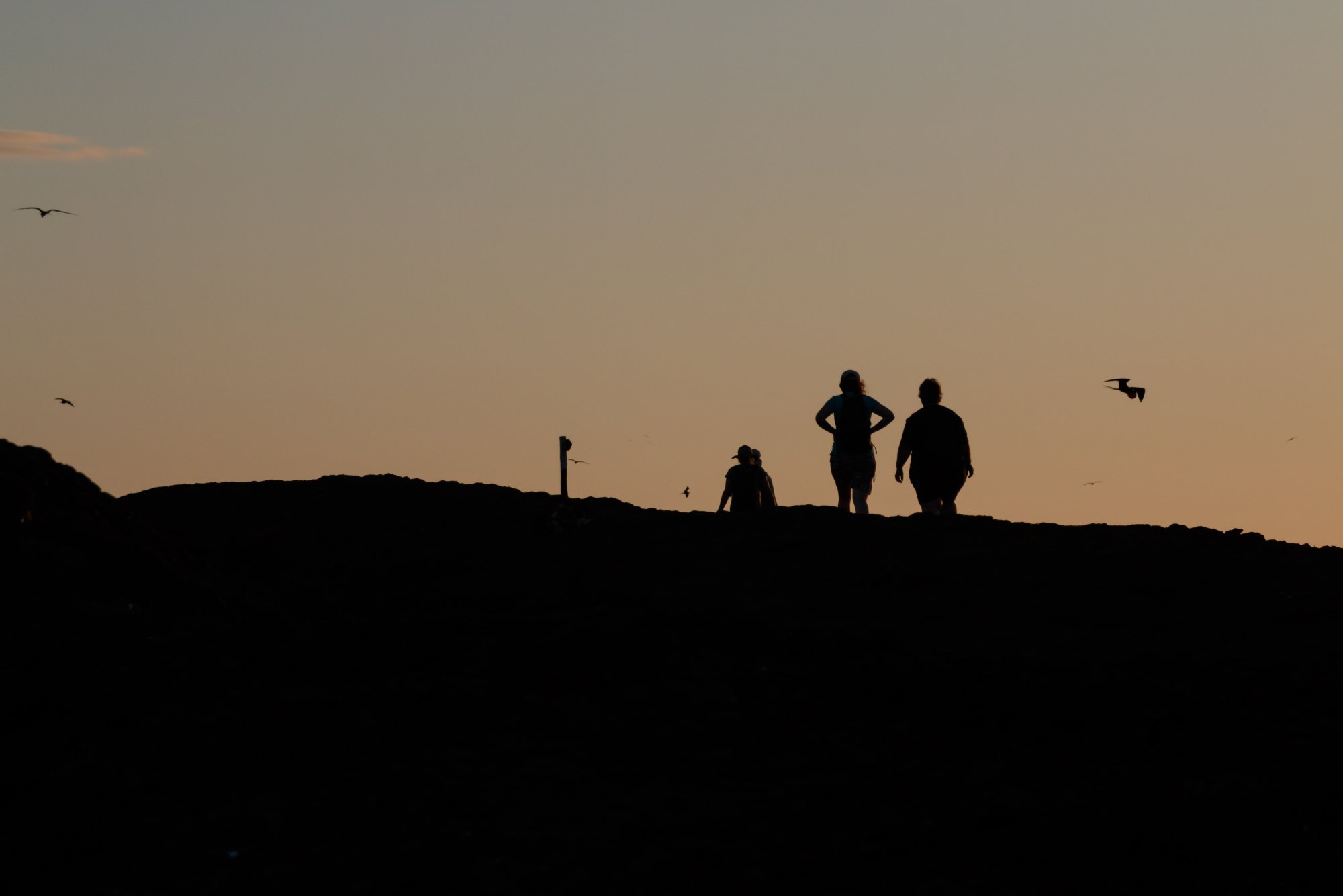 Galapagos_IMG_4332.jpg