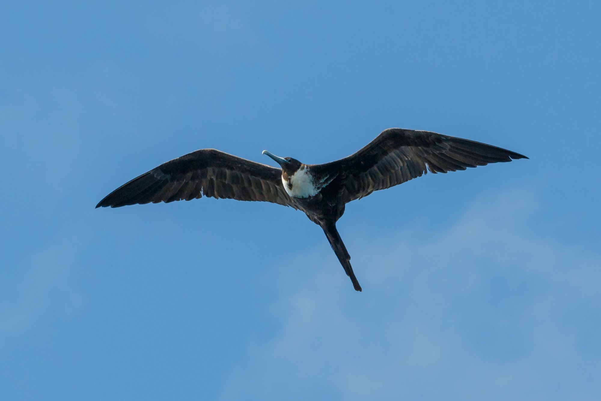 Galapagos_IMG_5378.jpg