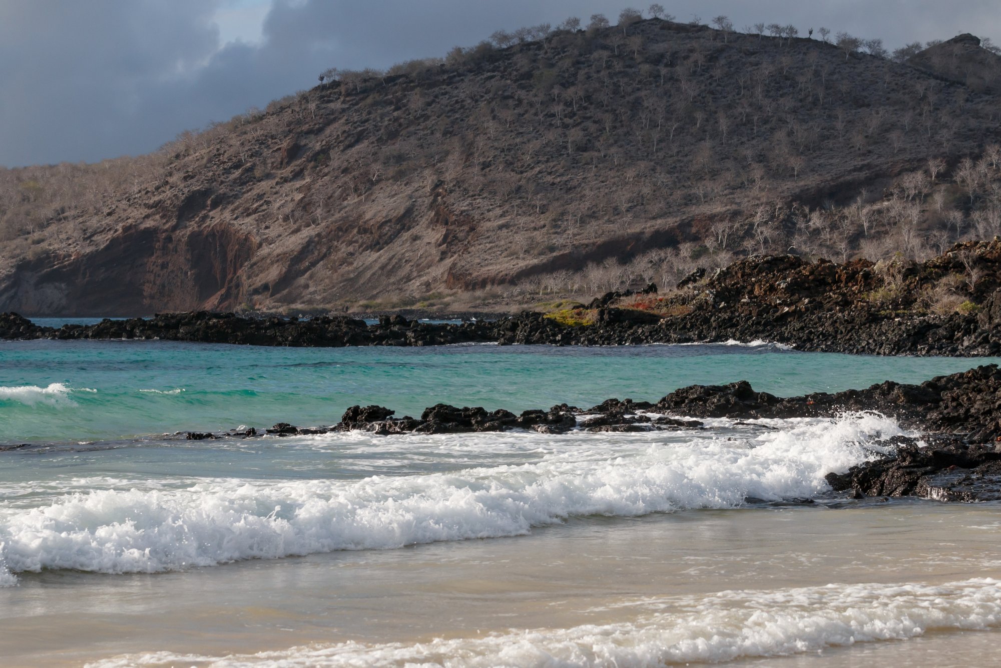 Galapagos_IMG_5887.jpg