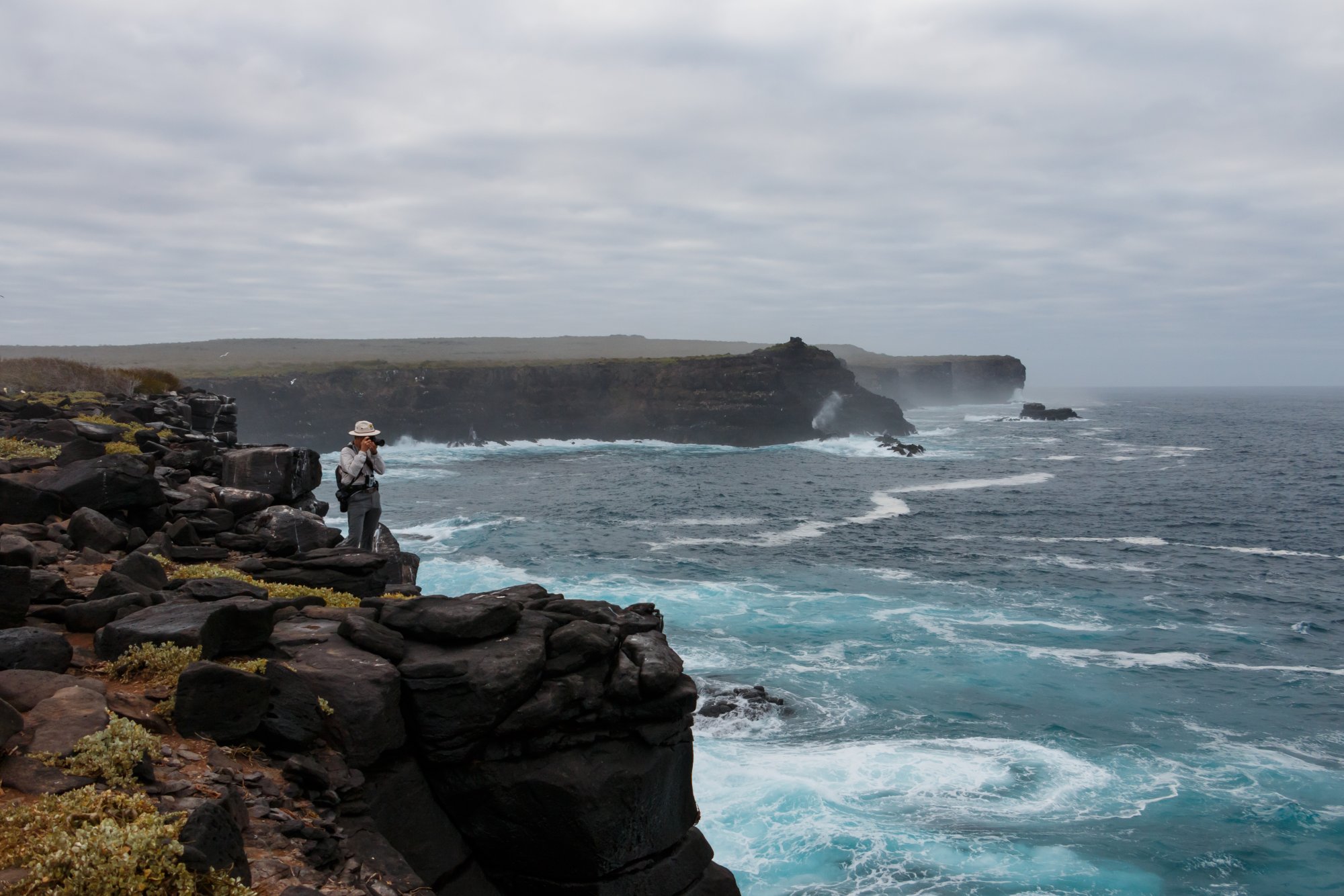 Galapagos_IMG_6173.jpg