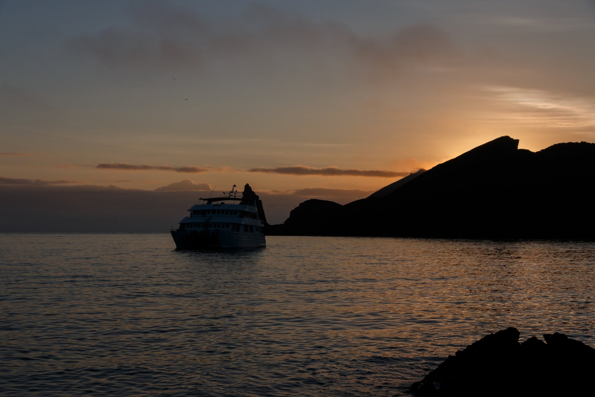 Galapagos_IMG_6785.jpg