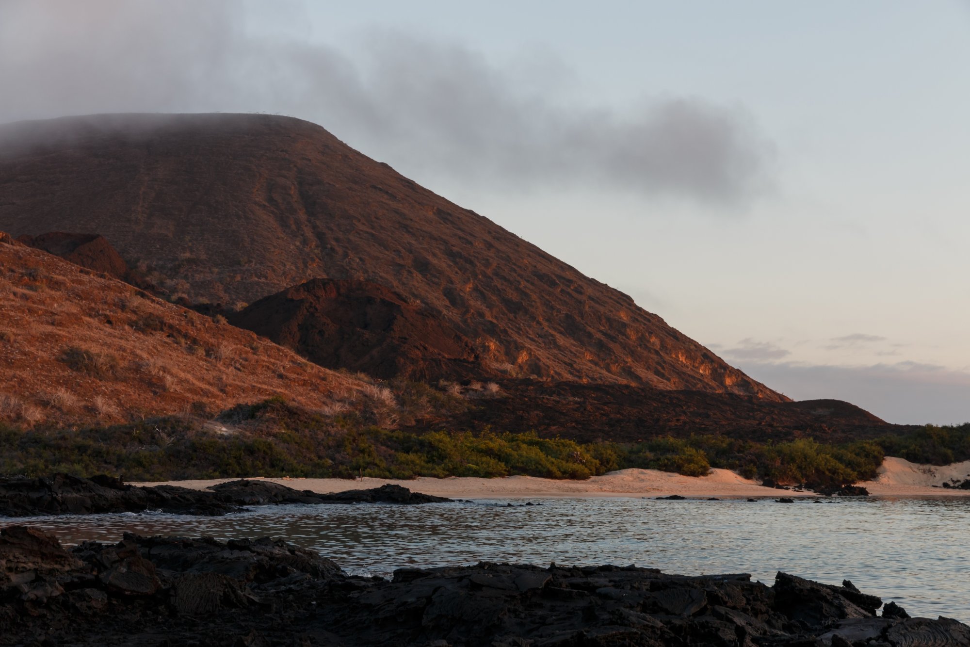 Galapagos_IMG_6788.jpg